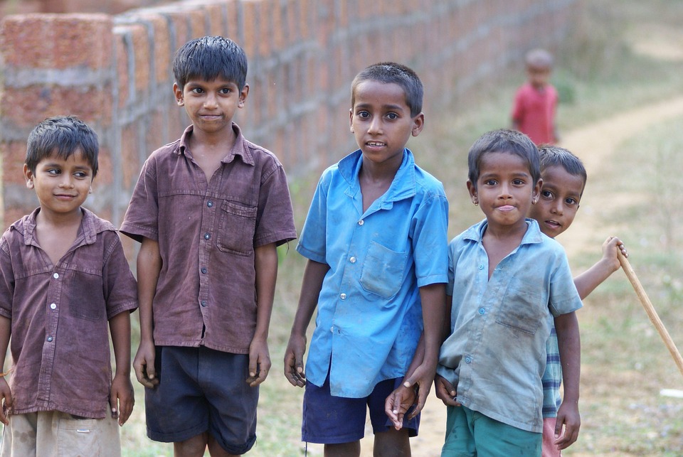Enumeration Phase of SIR Launches in Four States, Marking a Key Milestone in Data Collection Efforts.