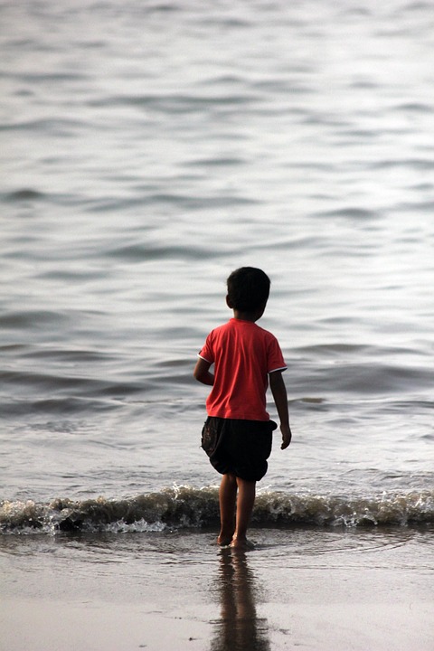 APEC Climate Center Warns of Strong El Niño, Increasing Risks for Indian Monsoon